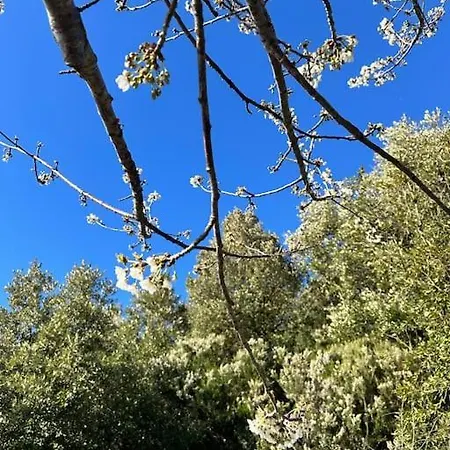 Nature&sea شاليه *