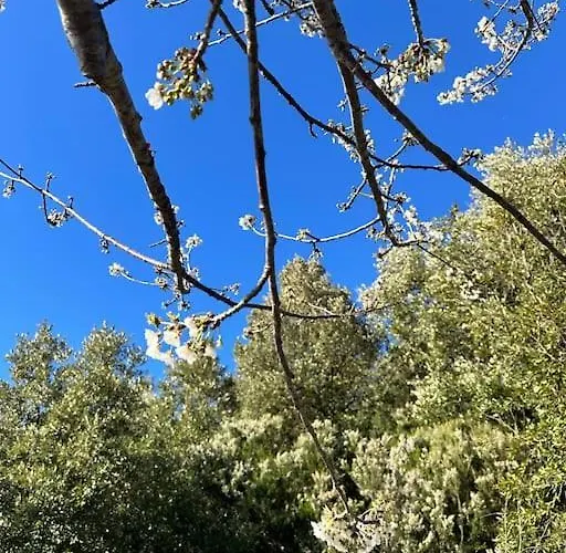 Altamarea Private Retreat Chalet *